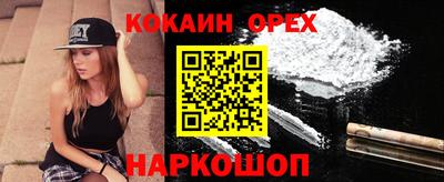 кокс Гатчина