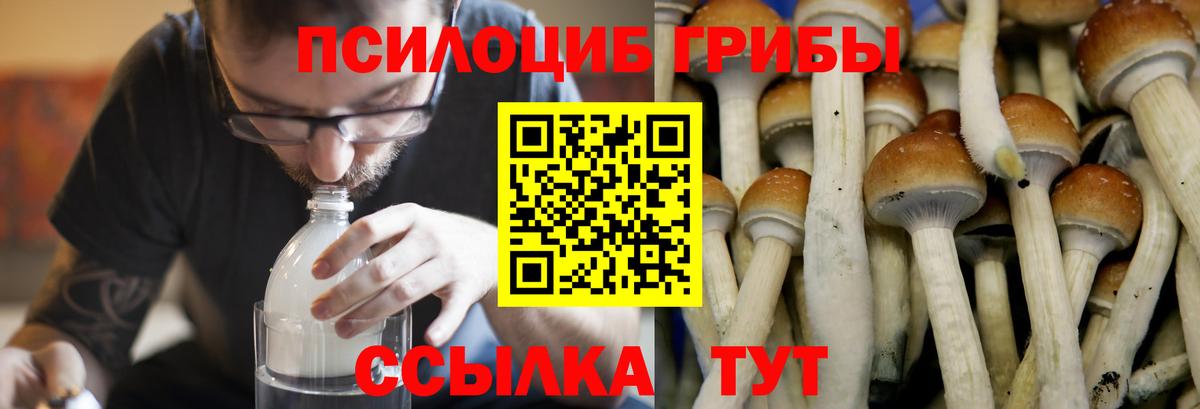 Галлюциногенные грибы Cubensis Жигулёвск